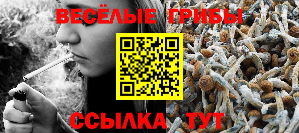 Псилоцибиновые грибы Magic Shrooms  Вход с VPN  Сорочинск 